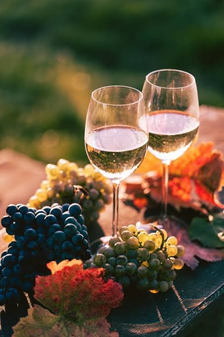 Wine Appreciation